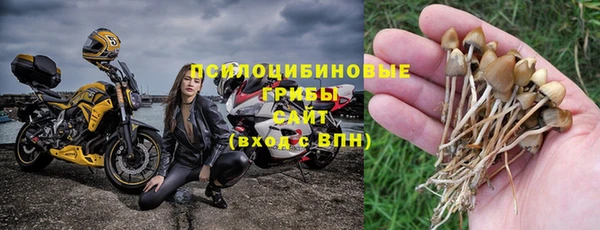 бошки Няндома