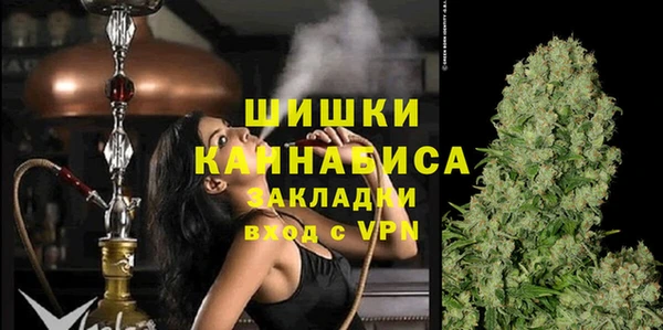 бошки Няндома