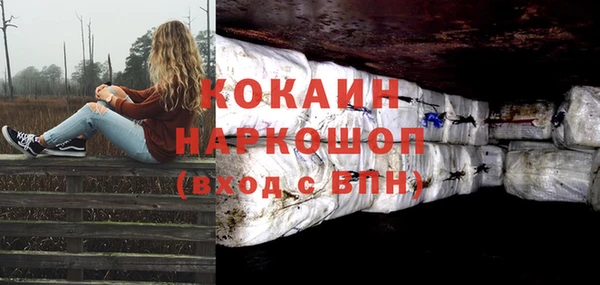 бошки Няндома