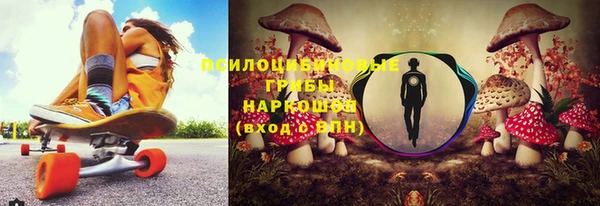 бошки Няндома