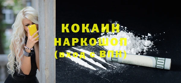 бошки Няндома