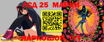 стафф Аргун