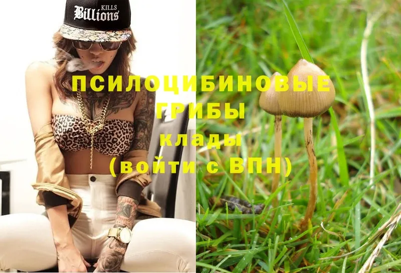 Галлюциногенные грибы MAGIC MUSHROOMS  Кимры 