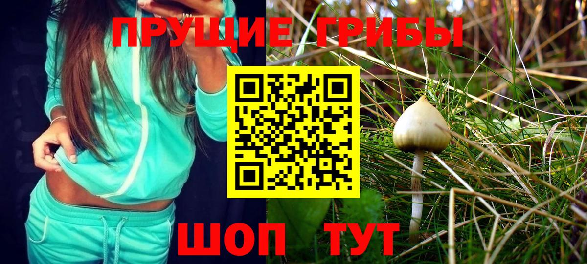 Галлюциногенные грибы MAGIC MUSHROOMS Кимры