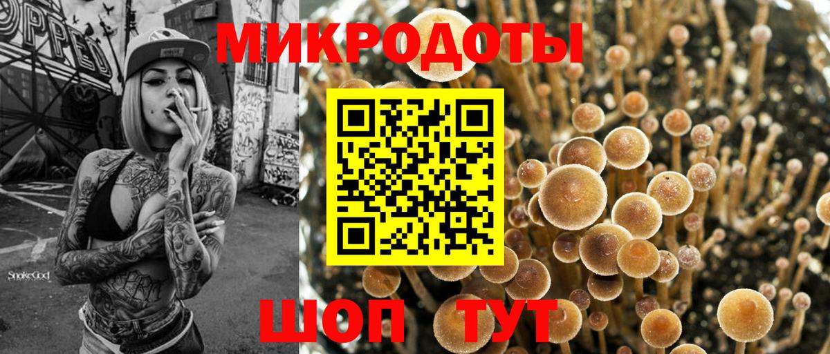 Псилоцибиновые грибы Psilocybine cubensis Кимры