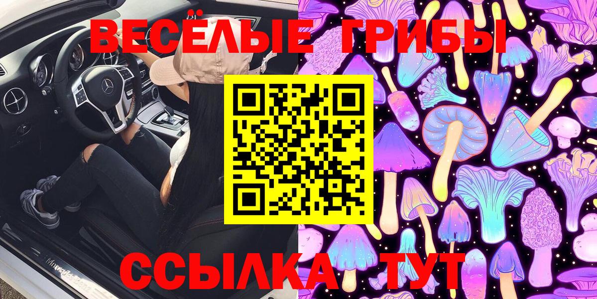 Кимры  Галлюциногенные грибы GOLDEN TEACHER  Вход с VPN 
