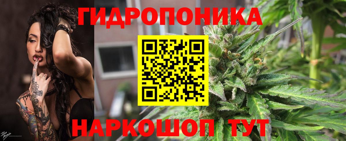 Канабис Bruce Banner Кимры
